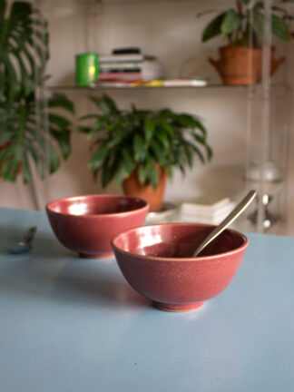 2 bowls violeta